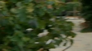 Heyecanı Yok X Çukur