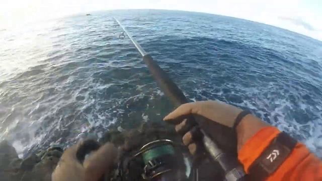 Daiwa Saltiga 8000H Dogfight test run with Amegari lure смотреть онлайн