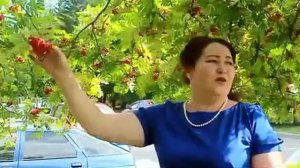 Зөлфиә Бирҙеғолова - Осратҡанға һине үкенәм💔🥲