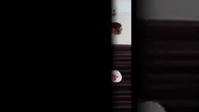 Raag rageshwari смотреть онлайн