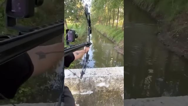 Арбалет смотреть онлайн