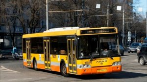 Автобус 96