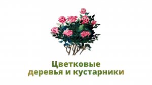 22. Цветковые деревья и кустарники