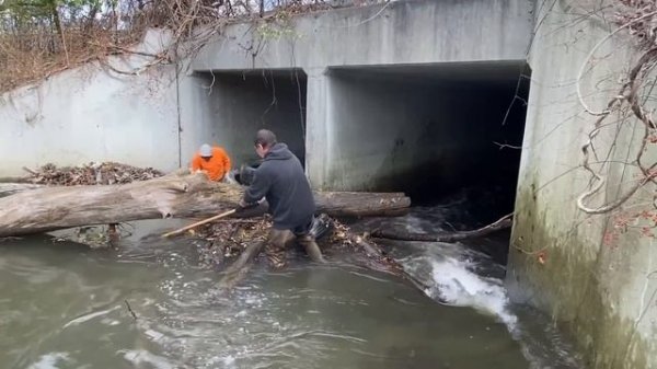 Clean-up of the Hudson River Culvert during Low Tide