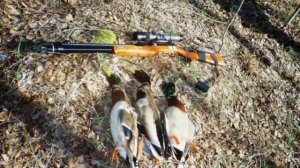 Охота с Пневматикой|Особенности использования пневматики в России