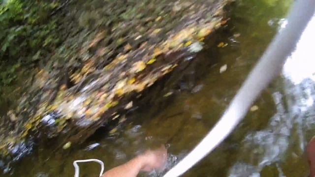 Tsurinoya Jaguar 1000 Trout Fishing смотреть онлайн