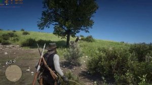 Поймать зебру для укротителя в RDR 2 #rdr2