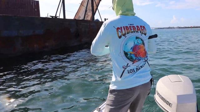 Goliath Grouper On Spinning Tackle Daiwa BGMQ смотреть онлайн