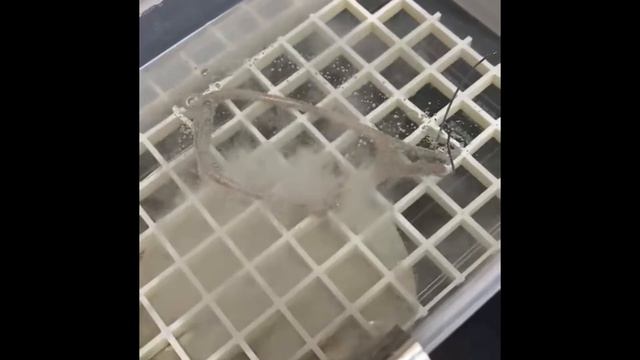 Oakley Juliet Anodizing / Titanium Anodizing /オークリージュリエット　アノダイズ смотреть онлайн