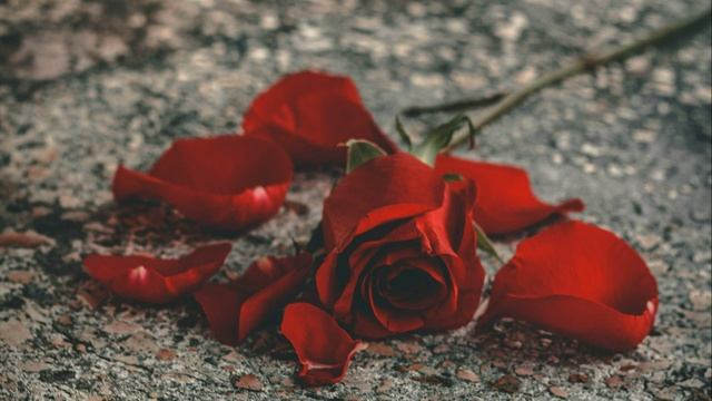 Аранхуэсский концерт. 2-я часть - Адажио смотреть онлайн