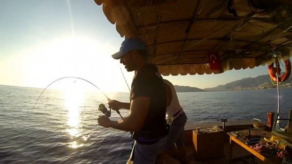 shimano socorro sw6000 vs prohunter kaido 50/150