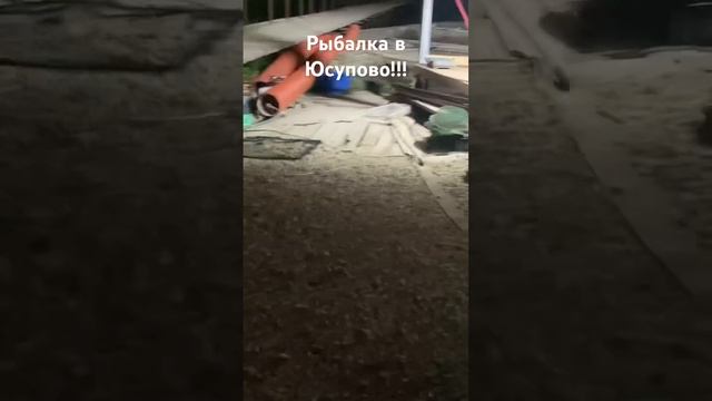 Рыбалка в Юсупово, поймали 86кг африканского сома, полное видео скоро на Канале!!!! смотреть онлайн