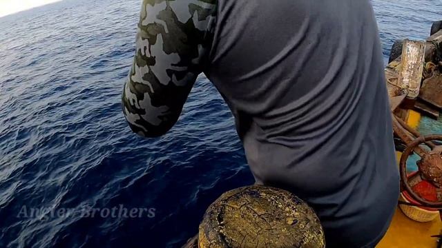 Arabian Sea Offshore Fishing, #jigging #popping #baitfishing #majorcraft #penn #okuma