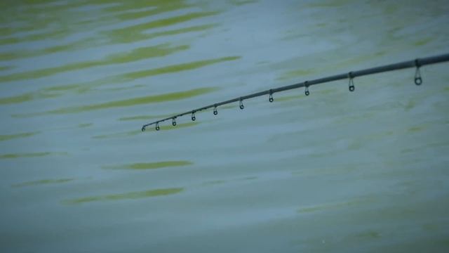 ***Coup & Feeder Matrix Fishing TV*** Canne Surface Pellet MASTER смотреть онлайн