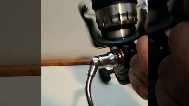 Compare Daiwa Certate LT5000D To Daiwa Blast 4000H And Daiwa BG 3500