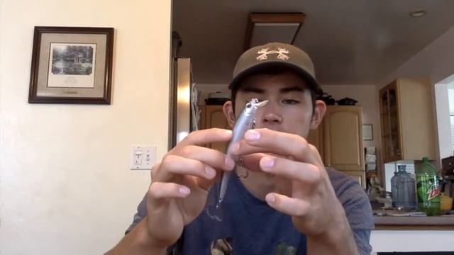 BIG SWIMBAIT!!!!!!!!!!! Bass Pro Shops Unboxing смотреть онлайн