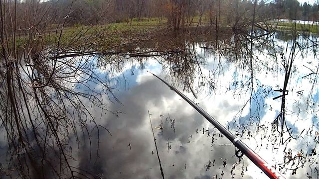 ЛОВЛЯ КАРПА В ЗАТОПЛЕННОМ ЛЕСУ смотреть онлайн