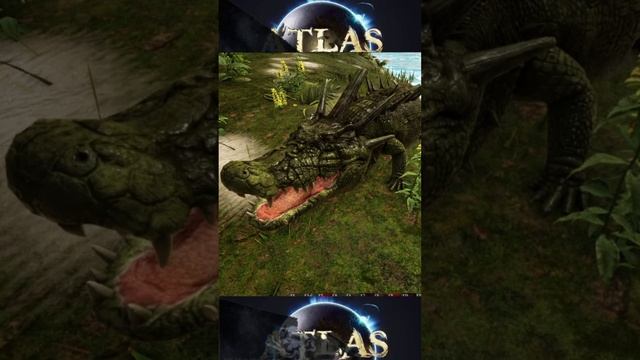 ATLAS. Поиски блудного попугая. смотреть онлайн