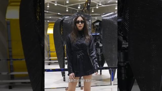 Jennie (Blackpink) Gentle Monster Endorsement Interview смотреть онлайн