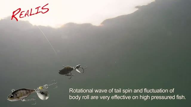 DUO Realis Spin