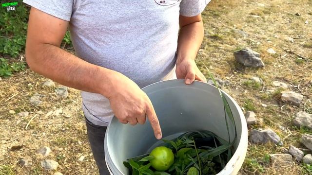 Balık Yakalamak / Dağda İlkel Yollarla Balık Yakalamak смотреть онлайн