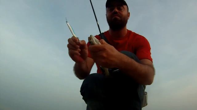 Osakan & Volakan Çinekop (Lüfer) Avı 9 - Small Blue Fish Spinning Fishing смотреть онлайн