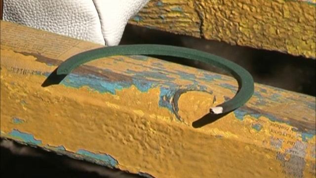 Спасаемся от комаров смотреть онлайн