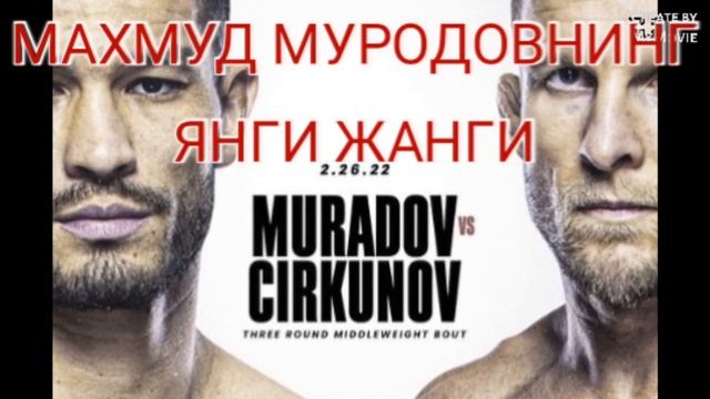 Махмуд Муродов & миша циркунов Янги жанги смотреть онлайн