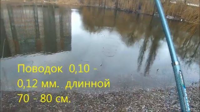 " Загните ваши КВИВЕРТИПЫ иначе вам поклевки не видать " смотреть онлайн