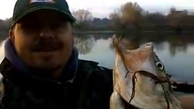 Fishing Asp (Boleń) real смотреть онлайн