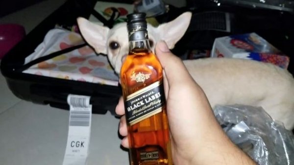 Johnnie Walker Black Label 12 Years Old Whisky - 24 November 2018