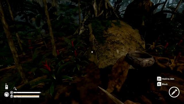 Green Hell Part 2 Nintendo Switch : Secret Drink смотреть онлайн
