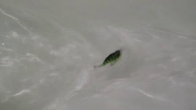 Кроулер из ПВХ