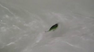 Кроулер из ПВХ