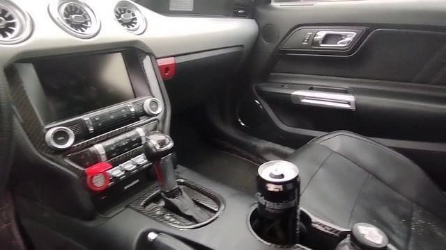 мустанг смотреть онлайн