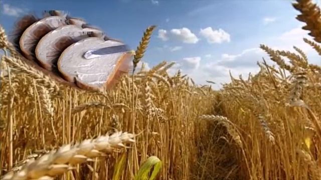 СЕЛО МОЕ РОДНОЕ...ВИДЕО ВАЛЕНТИНЫ НАДЕЖДИНОЙ. смотреть онлайн