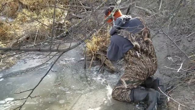 Early Ice Beaver Trapping 2017-2018 смотреть онлайн