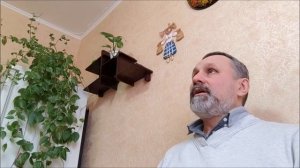 Торсионный генератор ЧТО КАК и Для чего