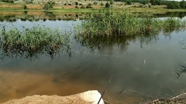 рекомендация Andrey Pashko смотреть онлайн