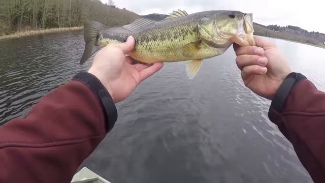 2018 Bass Fishing смотреть онлайн