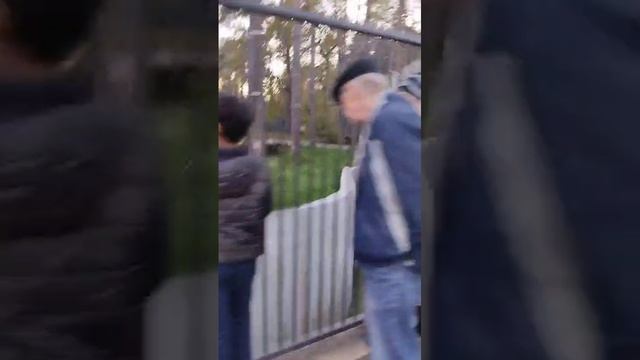 Хоромы медведей в Новосибирском зоопарке 2024-10-05