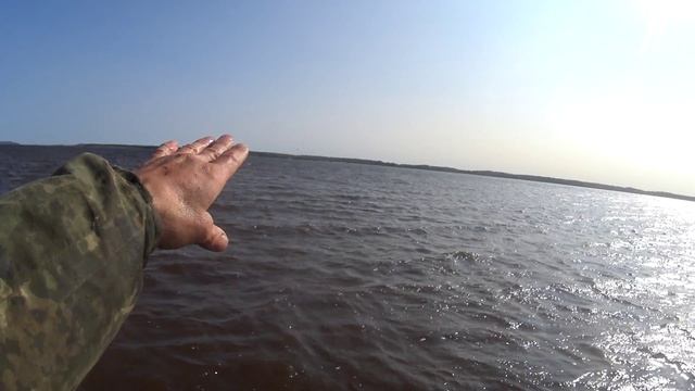 Зашёл косяк камбалы на Баб-губу!Водой толкануло,прямо ко мне в сетку! смотреть онлайн