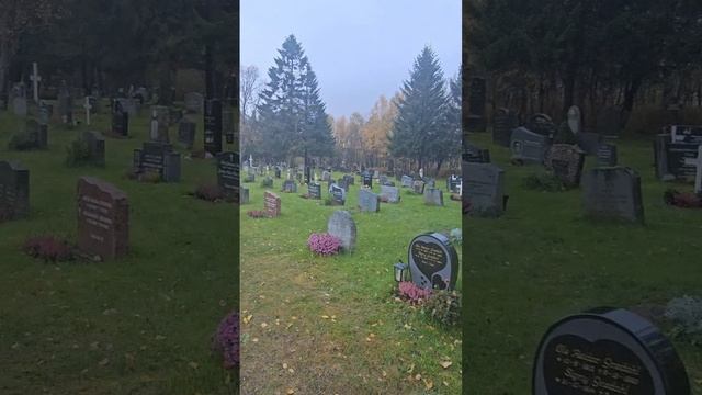 Странное место в Норвегии смотреть онлайн
