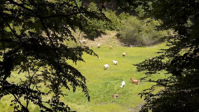 Conquer the field! The all mighty search bait Realis Spin смотреть онлайн