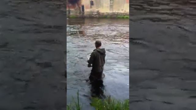 OrklaOla Mörrum 2012 смотреть онлайн