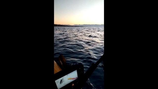 Un anno di kayak fishing смотреть онлайн