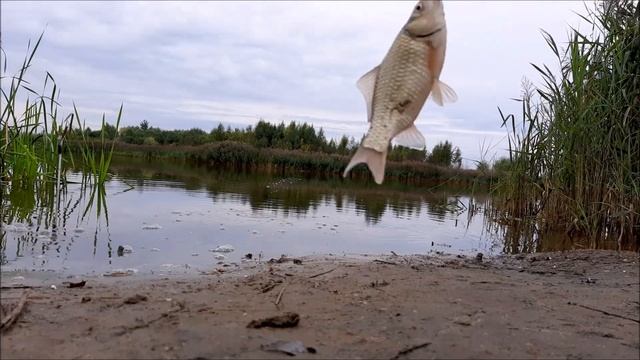 Пенопласт (наживка) смотреть онлайн