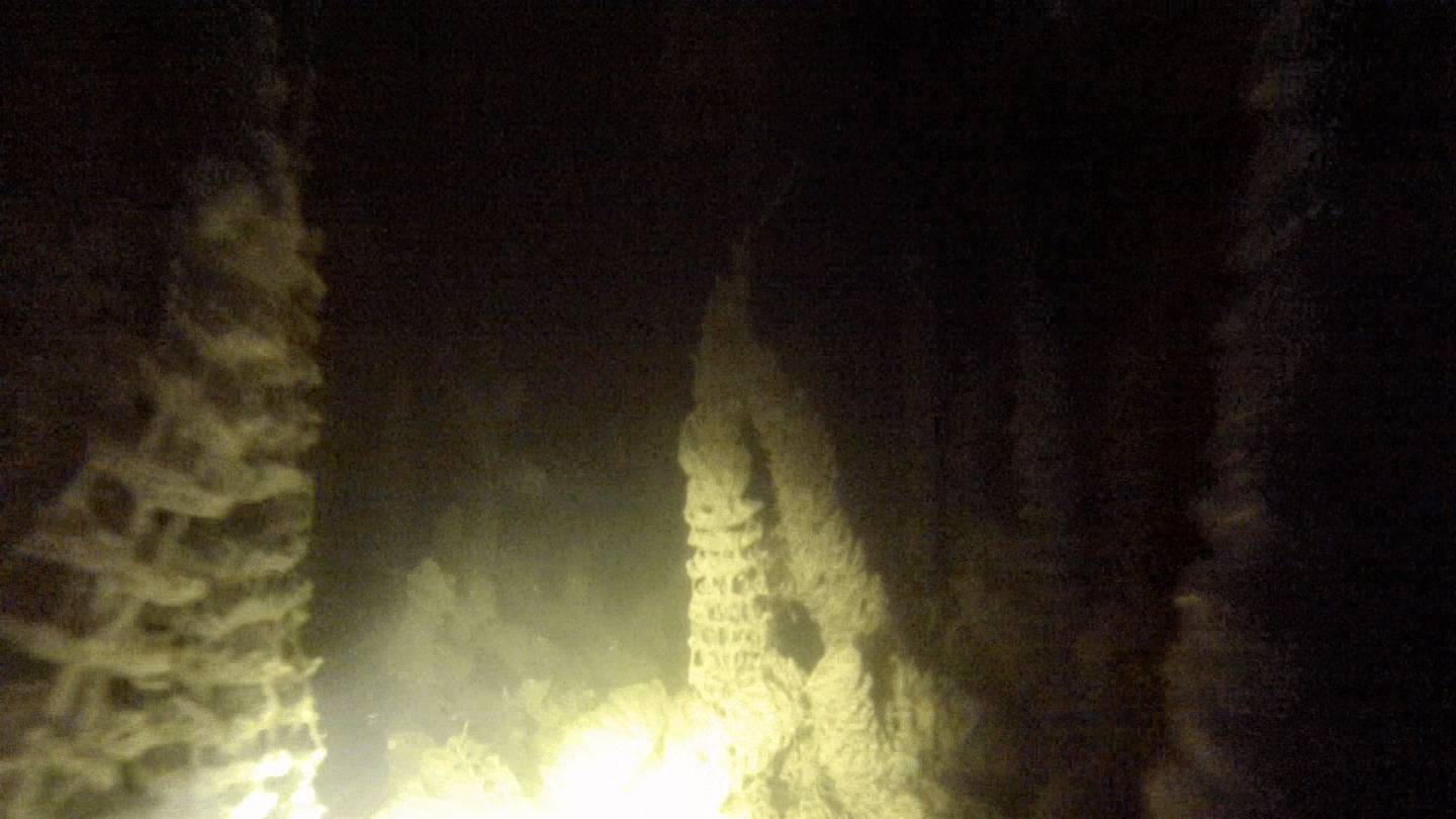 Подводная охота - деревенский пруд смотреть онлайн