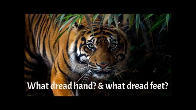 The Tiger - William Blake смотреть онлайн