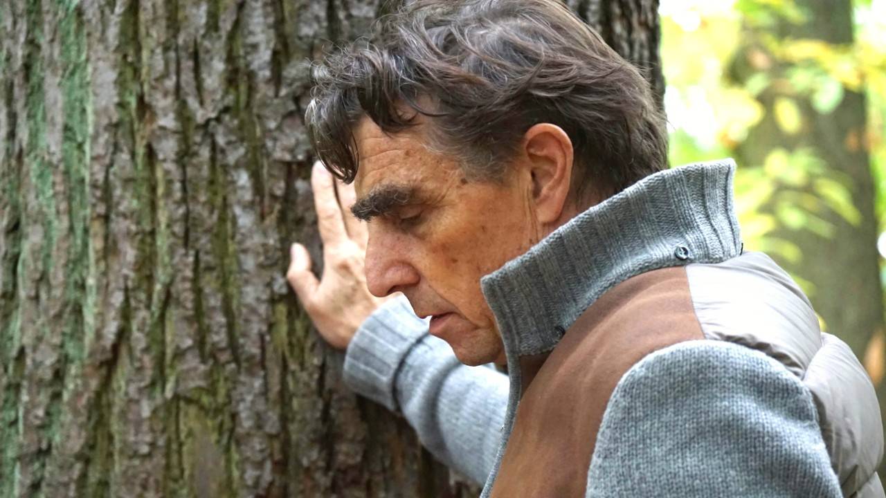 Как сейчас можно включить периоды работы в стаж, если СФР их исключил: новые примеры смотреть онлайн